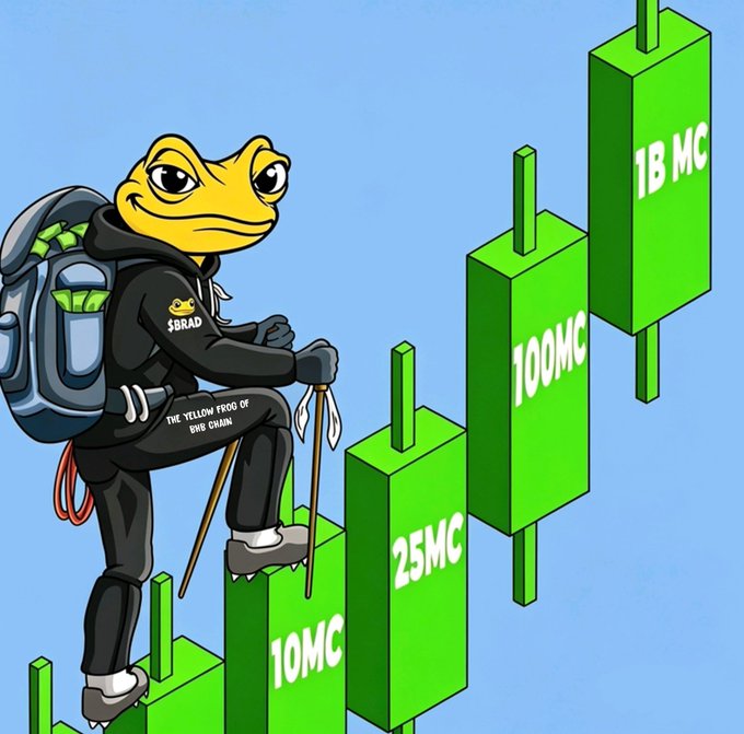 Brad Meme 4